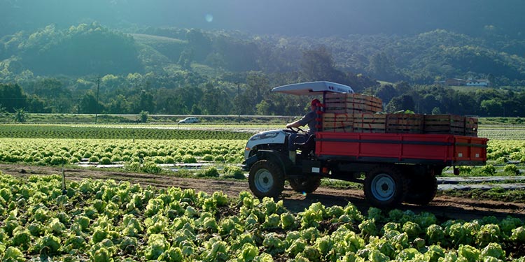 Trator AGRALE 4230.4