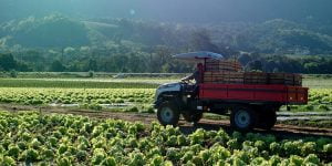 Trator AGRALE 4230.4